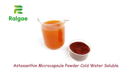 Polvo de microcápsulas de astaxantina natural Cws soluble en agua fría 1% y 2% de astaxantina