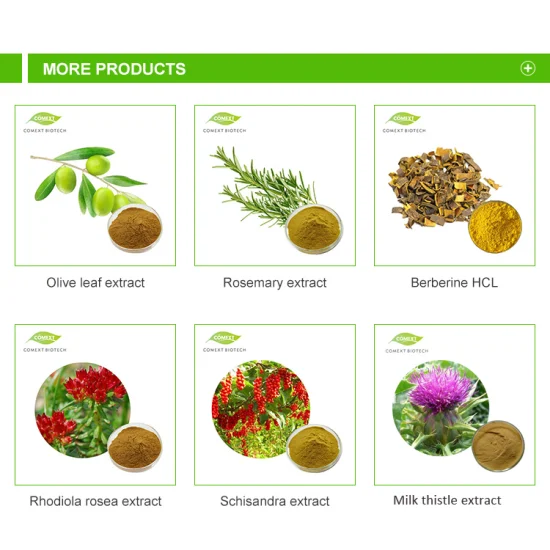 Comext Fssc China Factory Muestra gratis HPLC 50% 98% Herbal natural Polygonum Cuspidatum Plant Giant Knotweed Extracto en polvo Antioxidante Resveratrol para el cuidado de la piel